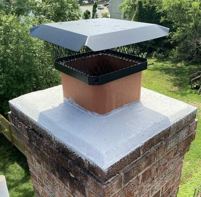 Murrieta Birds In Chimney, Removal, Exclusion